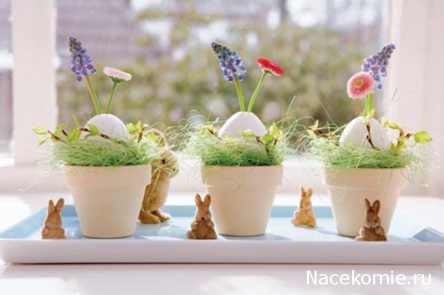 sphynx Канадские сфинксы в английском доме