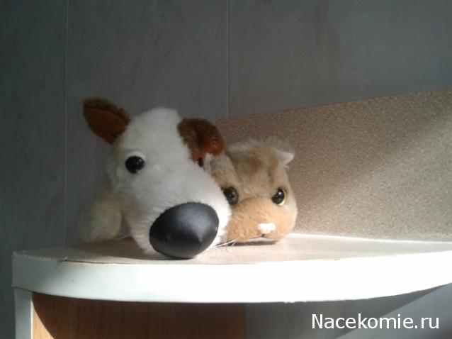 The Dog Collection №27 Джек Рассел Терьер