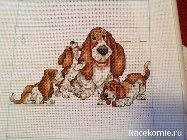 Round Robin- координатор  shabsik