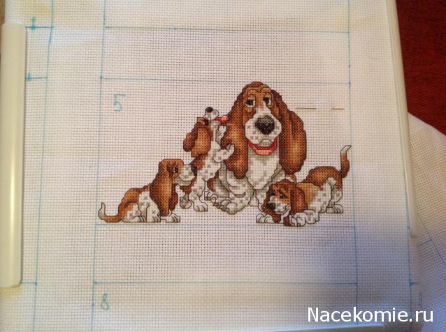 Round Robin- координатор  shabsik