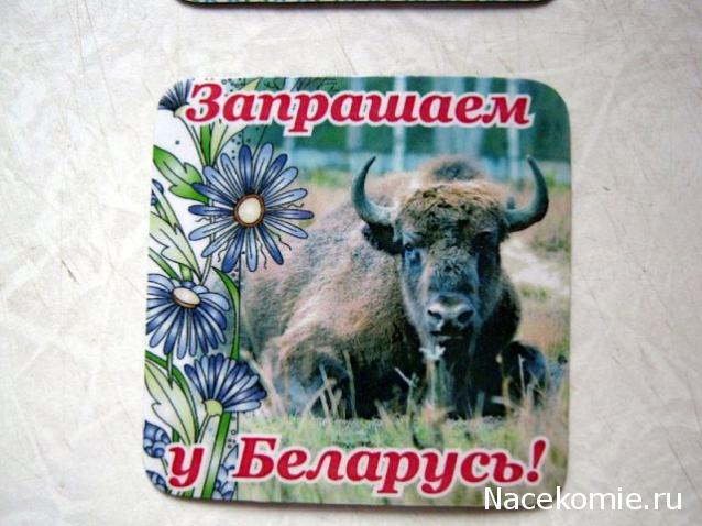 Дом Мечты и Трамвайчик желаний