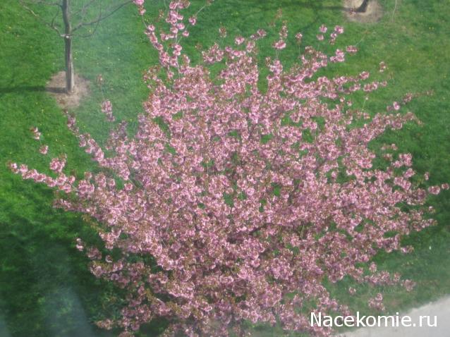 Мой любимый город или дорогие сердцу места