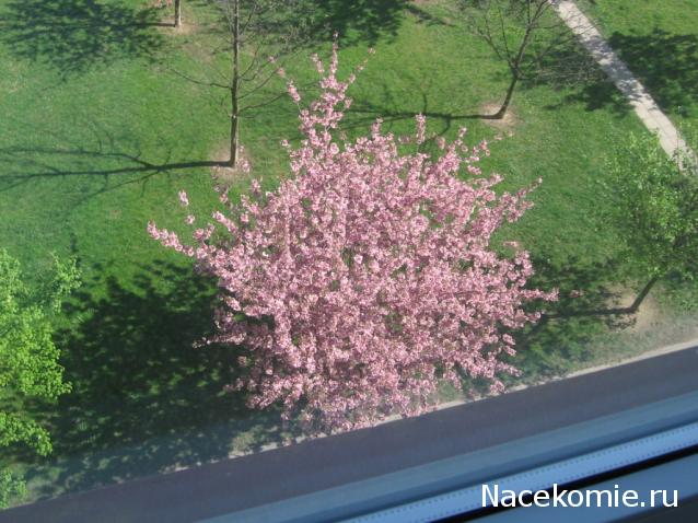 Мой любимый город или дорогие сердцу места