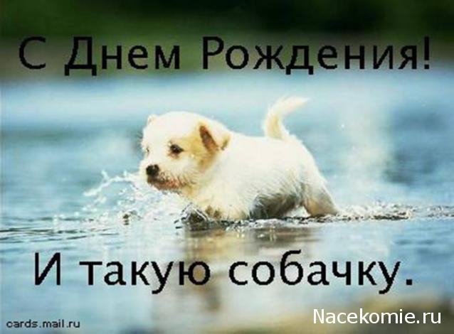 Дом Мечты наши дни рождения