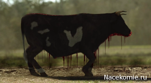 Что посмотреть? Обзор сериалов, кино