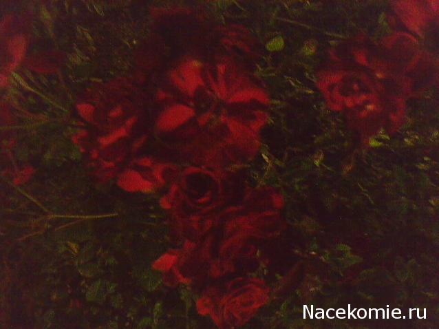 Наши Дни Рождения