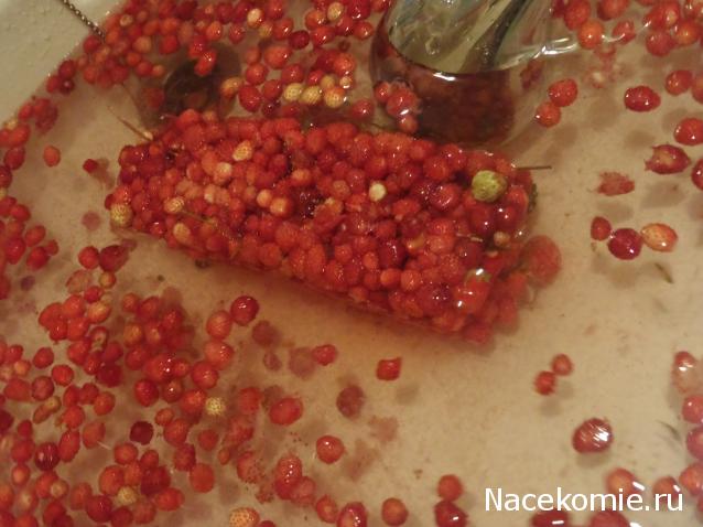 Танкодром (Общая Болталка танковых разделов)