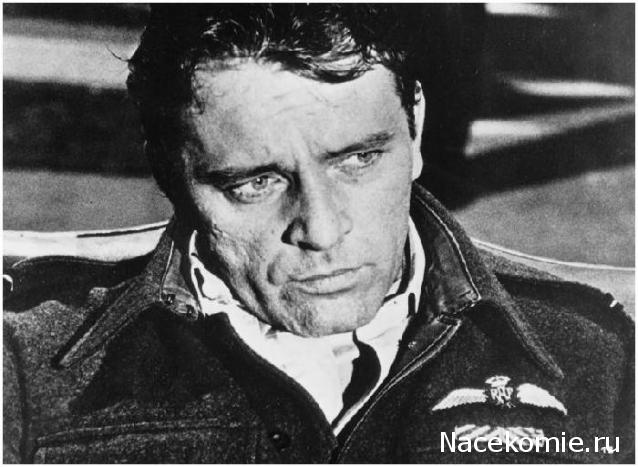 Солдаты ВОВ - Землянка (общение на разные темы)