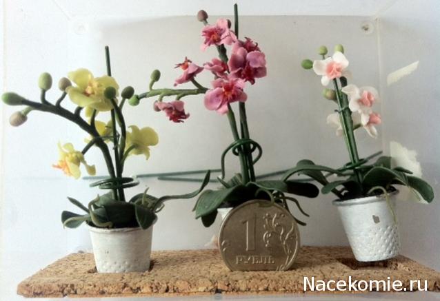 Дом Мечты и Трамвайчик желаний