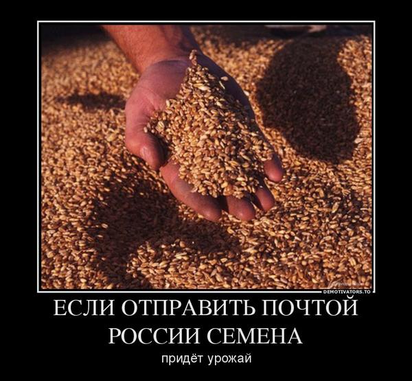 Дом Мечты Болталка: перезагрузка