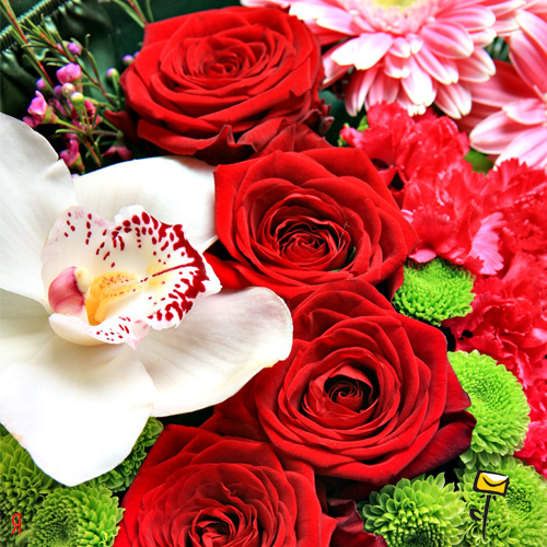 Дом Мечты наши дни рождения