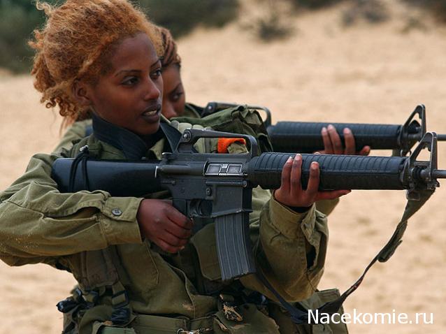 Наполеоновские Войны - Угадай армию