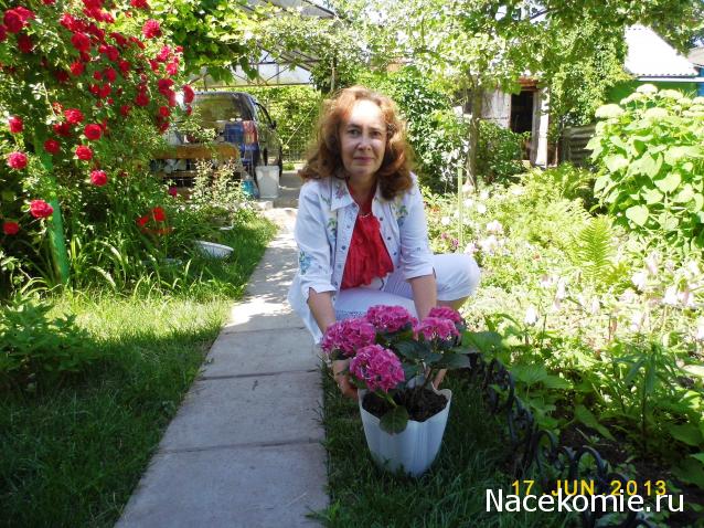 nataliMe - Викторианская эпоха. Взгляд из 21 века.