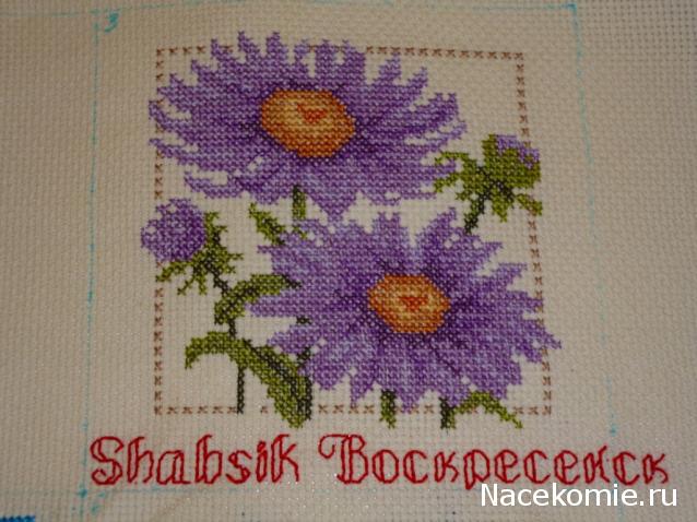 Round Robin- координатор  shabsik