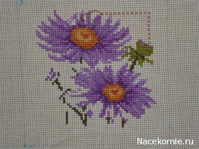 Round Robin- координатор  shabsik