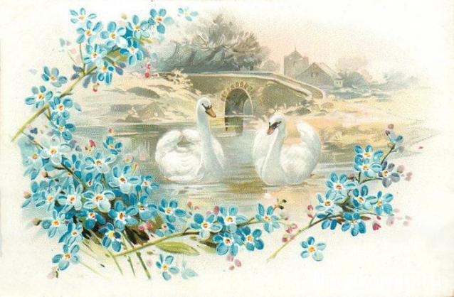 Дом Мечты наши дни рождения