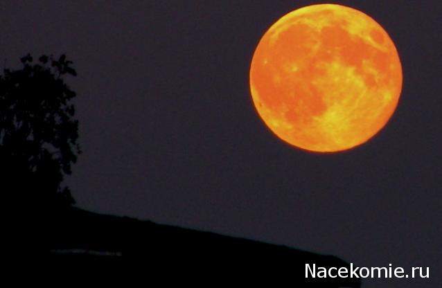 Болталка (часть 2)