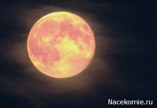 Болталка (часть 2)