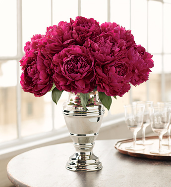 Дом Мечты наши дни рождения