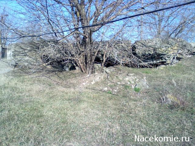 Танкодром (Общая Болталка танковых разделов)