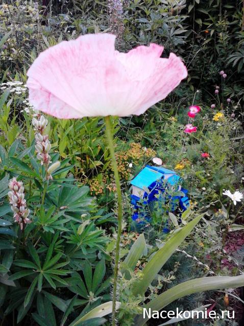 Lessy - Мое удовольствие (Monplaisir Palace)