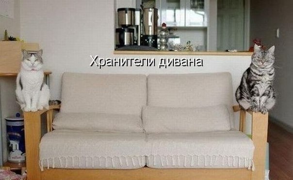 Дом Мечты Болталка: перезагрузка