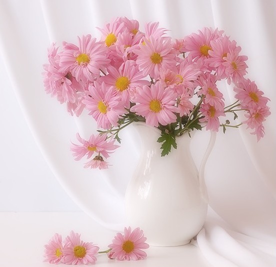 Дом Мечты наши дни рождения