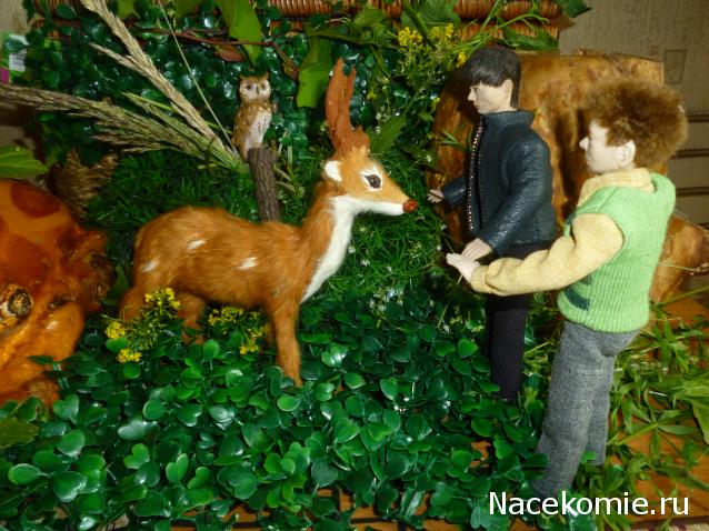 IriSelena. Вне стиля, или Непонятный домик