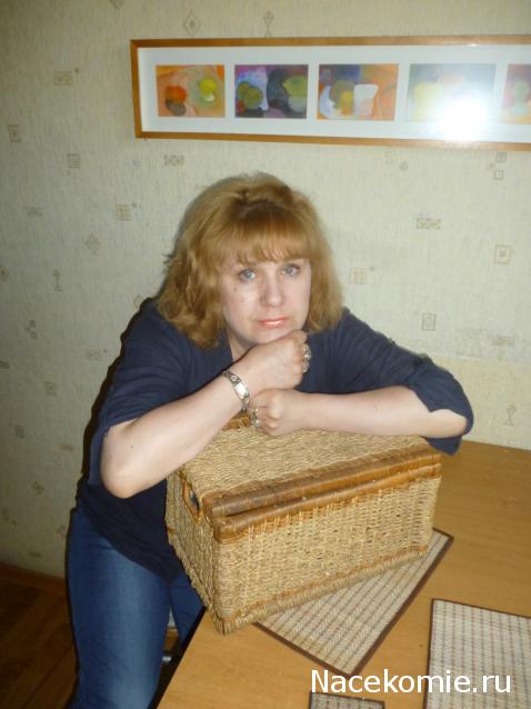 IriSelena. Вне стиля, или Непонятный домик