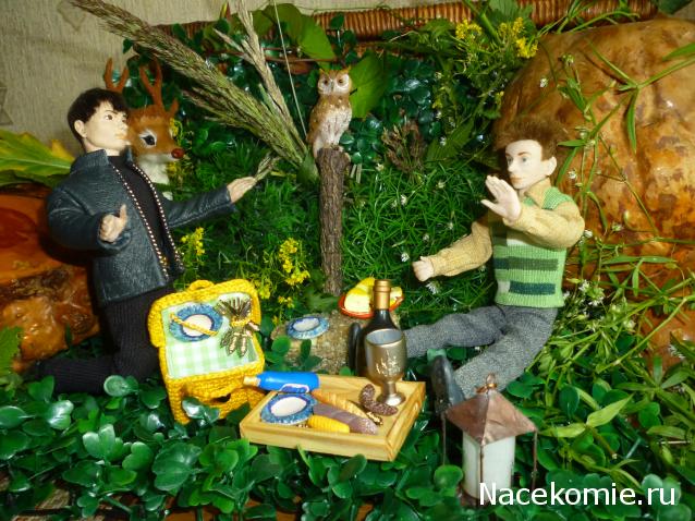 IriSelena. Вне стиля, или Непонятный домик