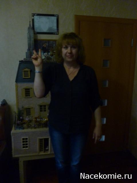 IriSelena. Вне стиля, или Непонятный домик