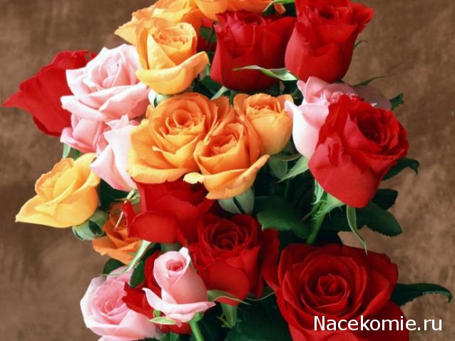 Дом Мечты наши дни рождения