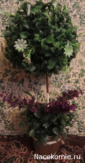 CTB-фантазии