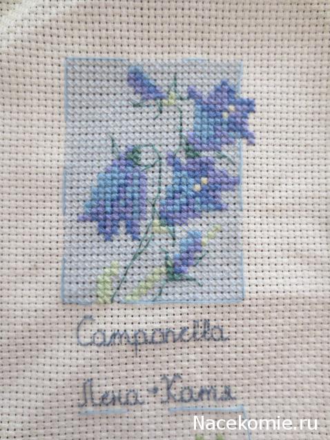 Round Robin_координатор Mabelle