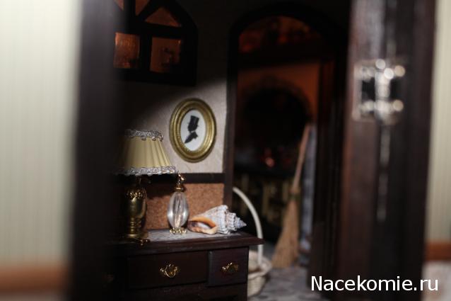 sphynx Канадские сфинксы в английском доме