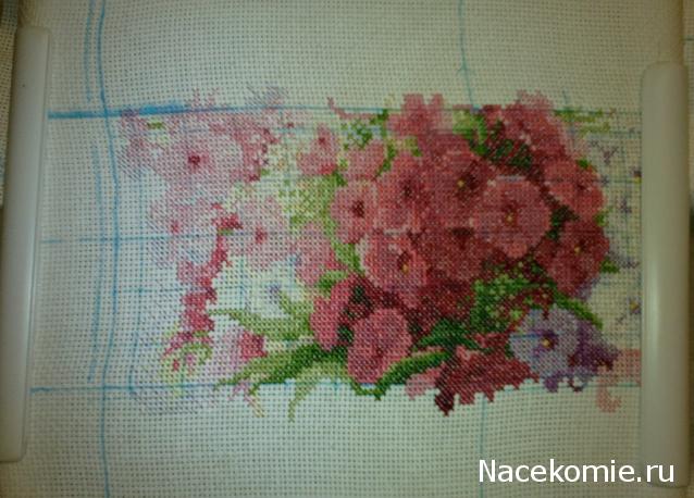 Round Robin_координатор Mabelle