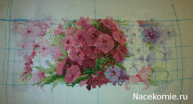 Round Robin_координатор Mabelle