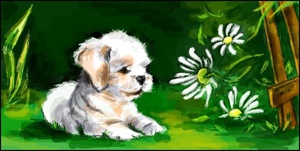 Дом Мечты наши дни рождения