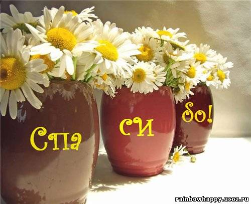 DanaFox Мир мечты-Дом близнеца ))))))))