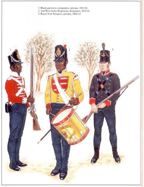 Наполеоновские Войны - График выхода и обсуждение