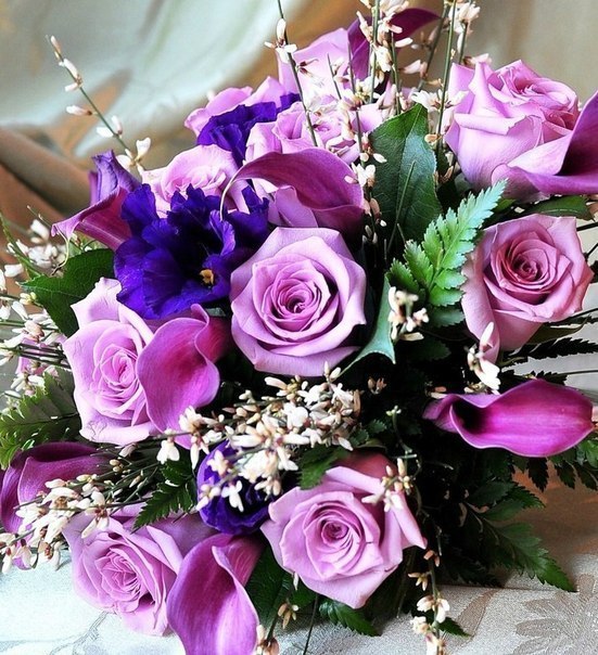 Vishnya - *Мой Домик*