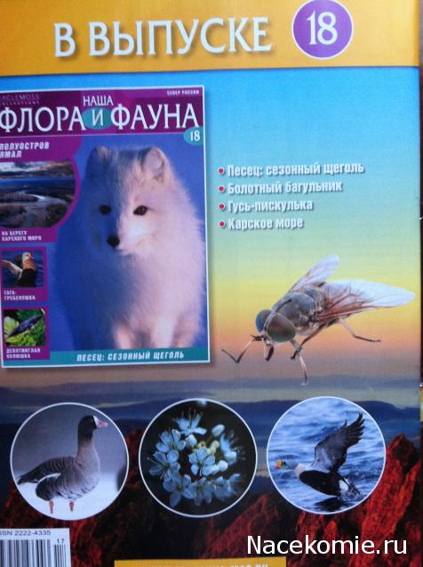 Наша Флора и Фауна - журнал (Eaglemoss)
