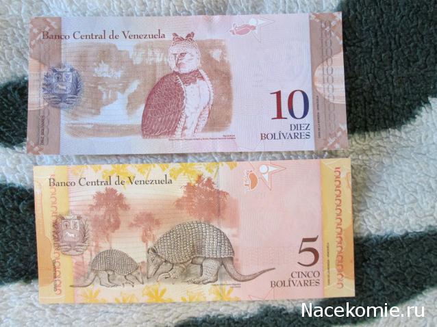 Коллекции пользователей. Нумизматика и бонистика