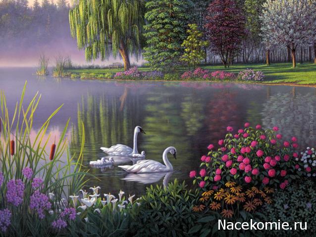 Дом Мечты наши дни рождения