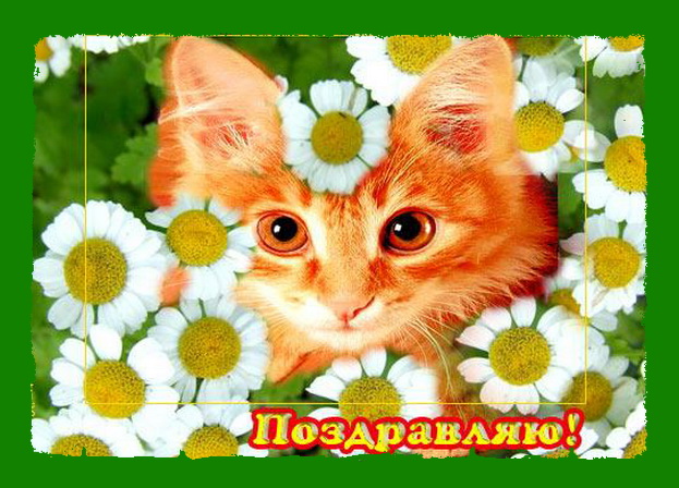 Дом Мечты наши дни рождения