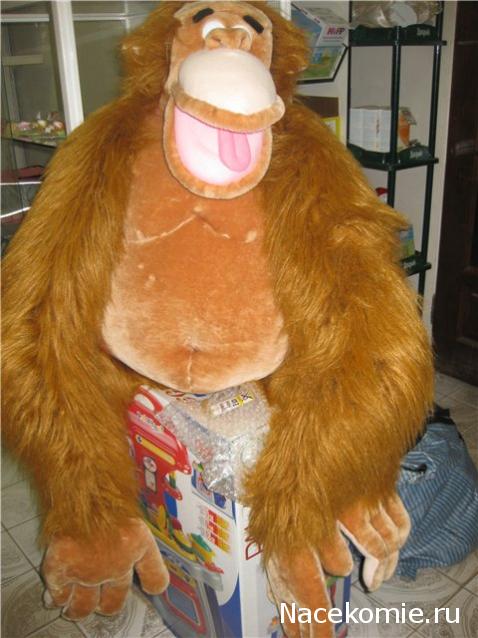 Дом Мечты и Трамвайчик желаний