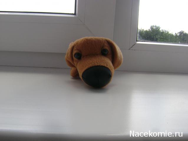 The Dog Collection №71 Венгерская выжла
