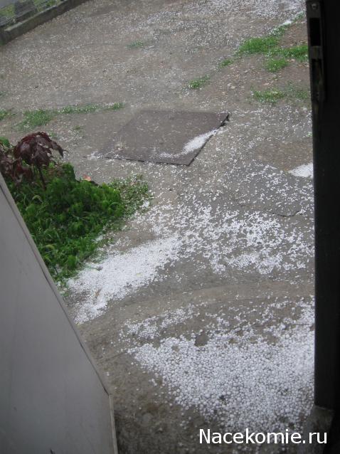 Дом Мечты Болталка: перезагрузка