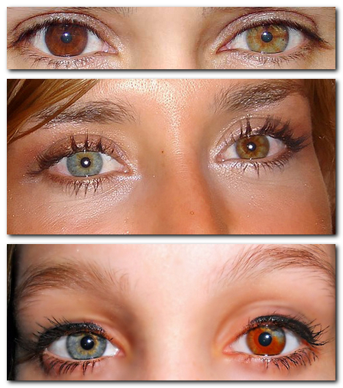 Над златом чахнем. Болталка раздела "Нумизматика"