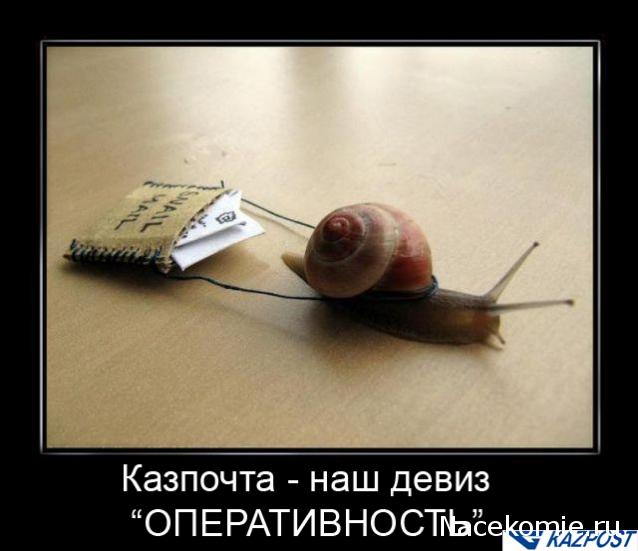 Дом Мечты Болталка: перезагрузка